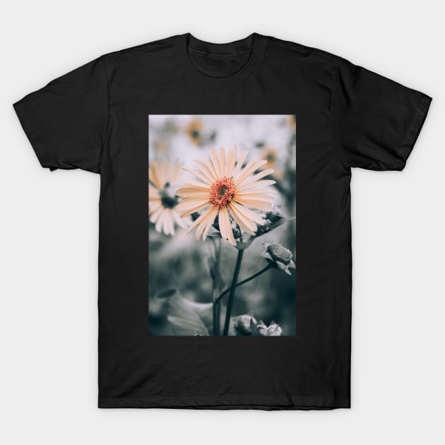 Cup Plant. Yellow Flower Photograph T-Shirt by love-fi